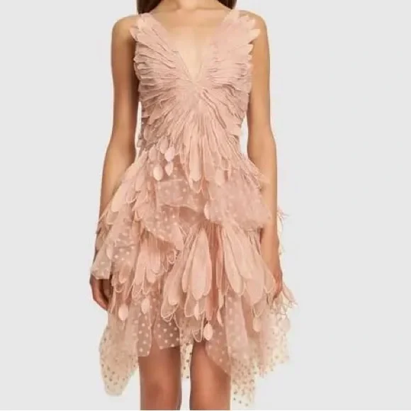 ✨Exclusive Zimmermann Dancer Rhythmic Flocked Tulle Mini Dress US6 - Picture 2 of 12